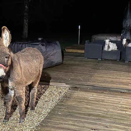 Les Gites De Claire Saint-Gâtien-des-Bois Exteriör bild